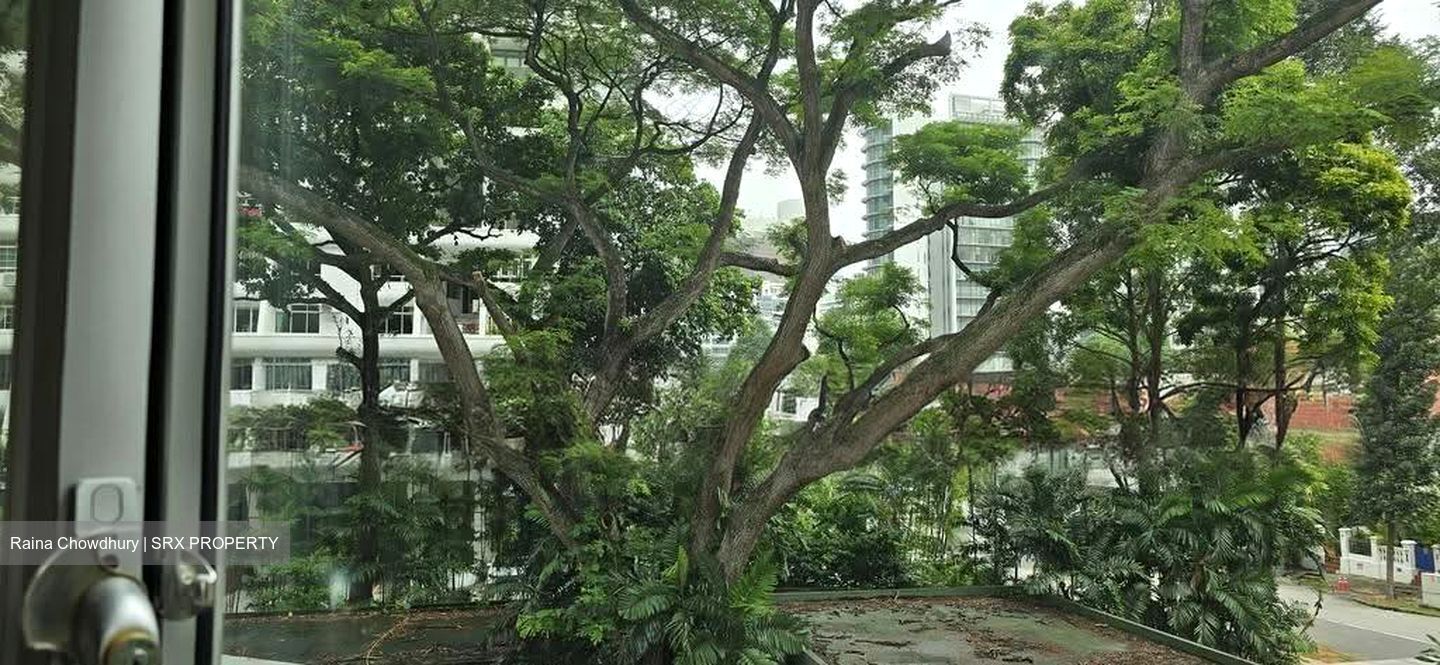 Cairnhill Plaza (D9), Apartment #623135141